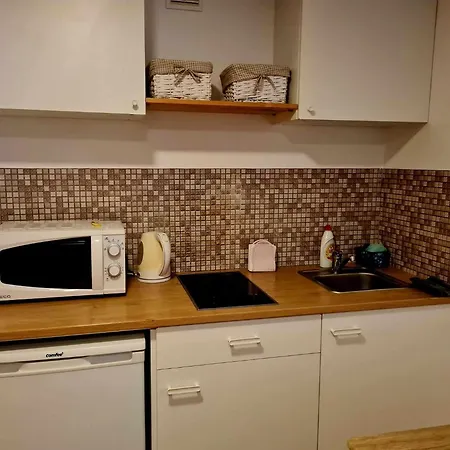 Taikos 4 Apartment Klaipeda